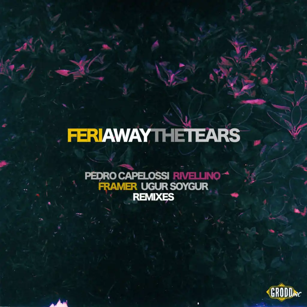 Away the Tears (Radio Edit)