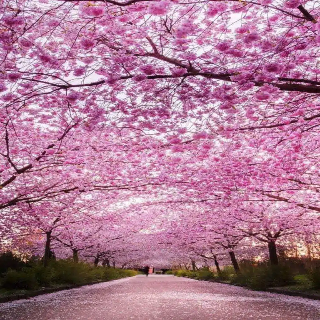 Around The World