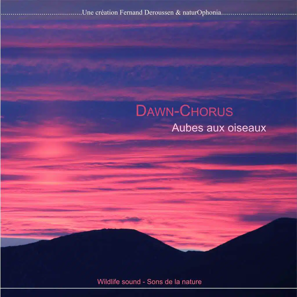 Dawn-Chorus en France
