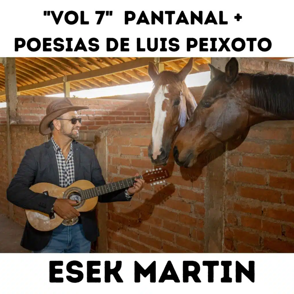 "Vol 7" Pantanal + Poesias de Luis Peixoto