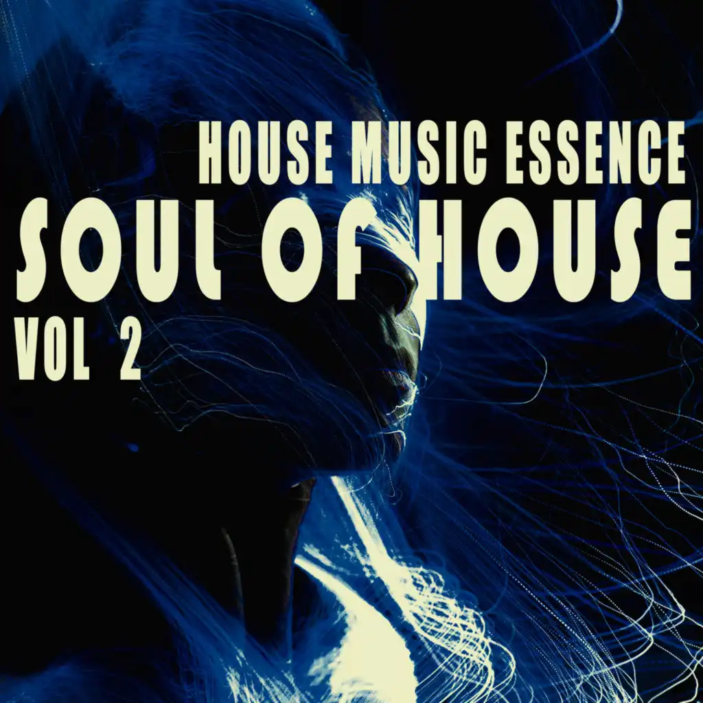 Soul of House, Vol. 2