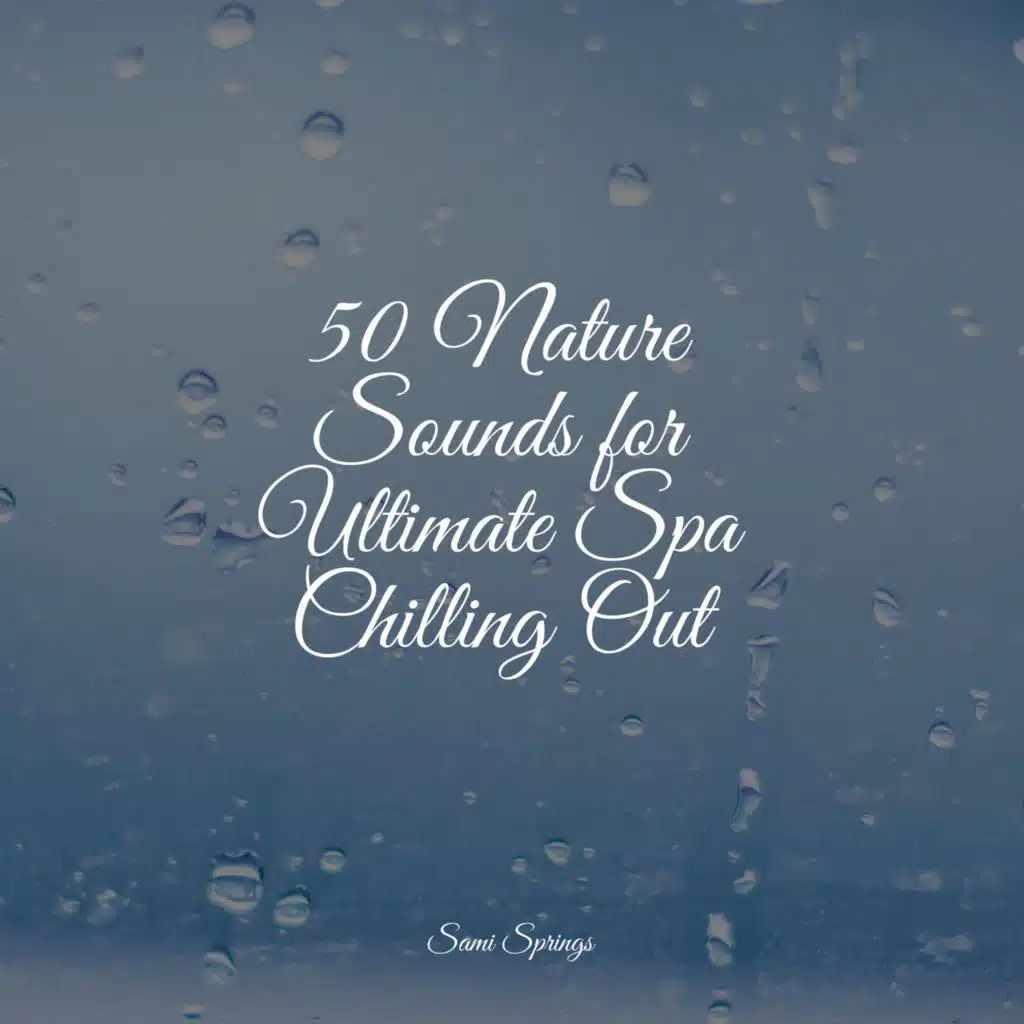 50 Nature Sounds for Ultimate Spa Chilling Out