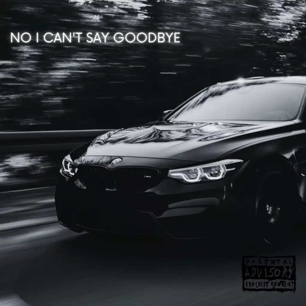 NO I CAN'T SAY GOODBYE