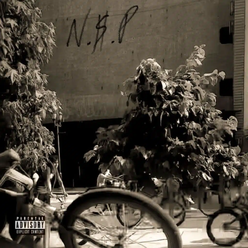 N.$.P EP