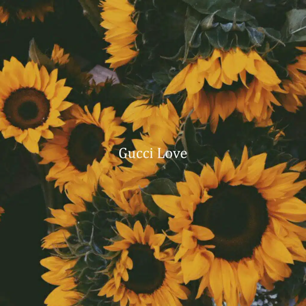 Donny & Shiloh Dynasty