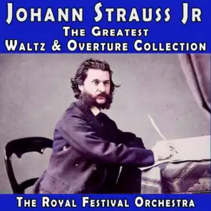 The Royal Festival Orchestra
