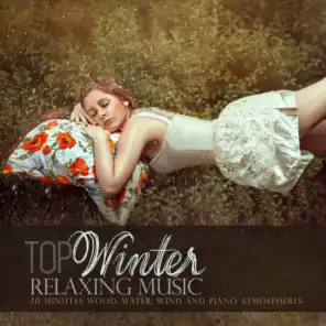 Top Winter Relaxing Music: 70 Minutes Wood, Water, Wind and Piano Atmospheres