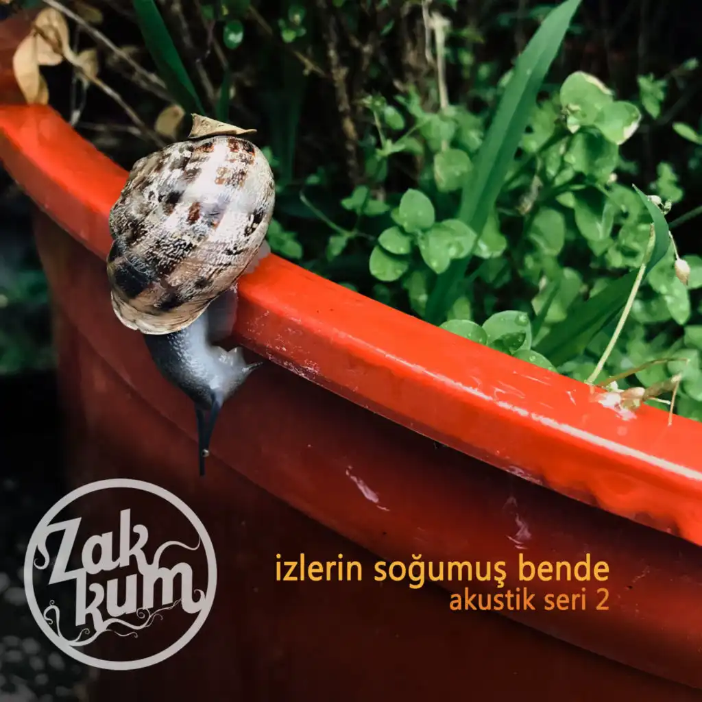 Yarasın (Akustik)