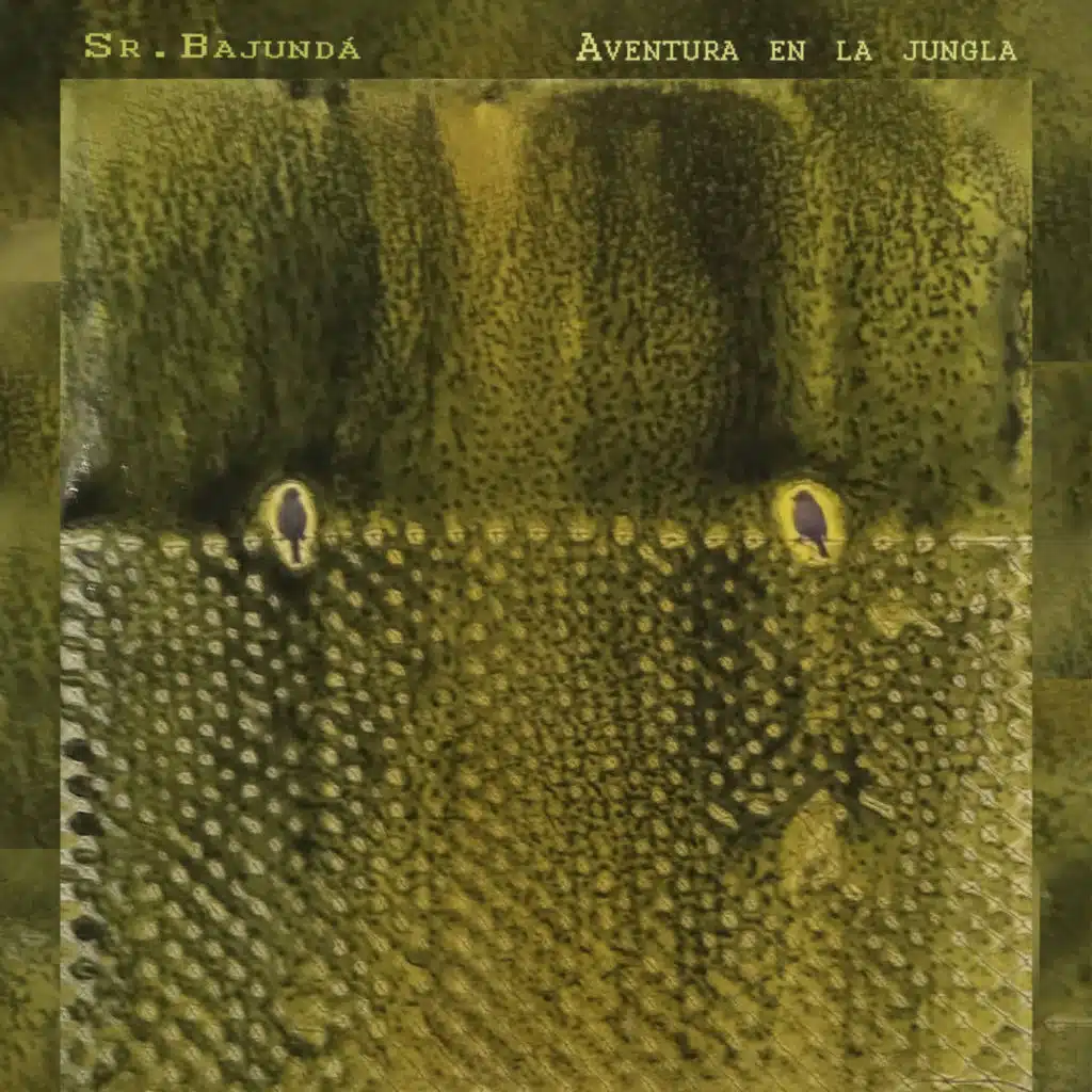 Sr. Bajundá