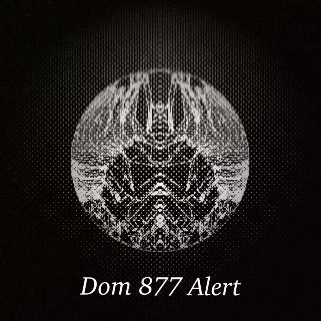 Dom 877