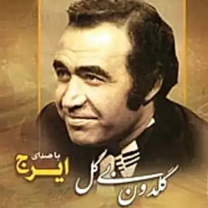 Goldoon Bi Gol (Persian Music)
