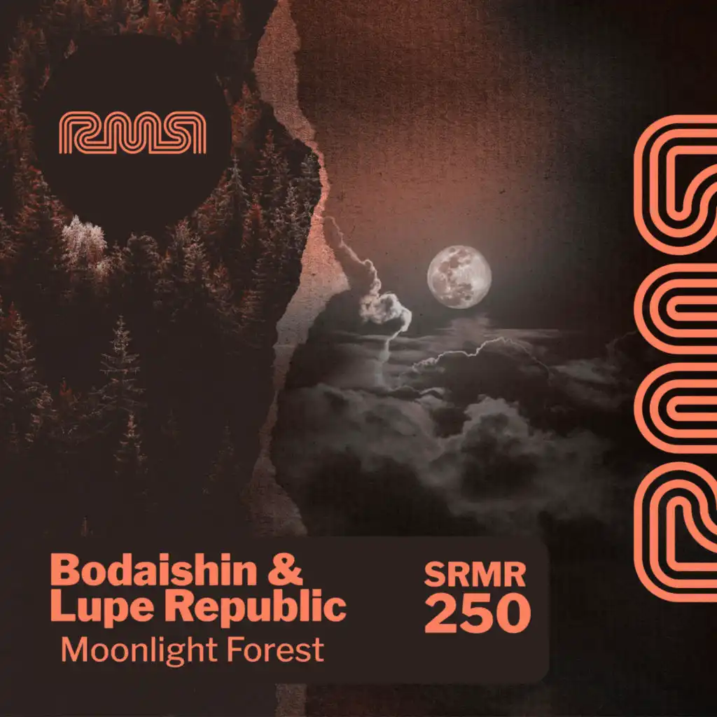 Moonlight Forest (BiGz Remix)