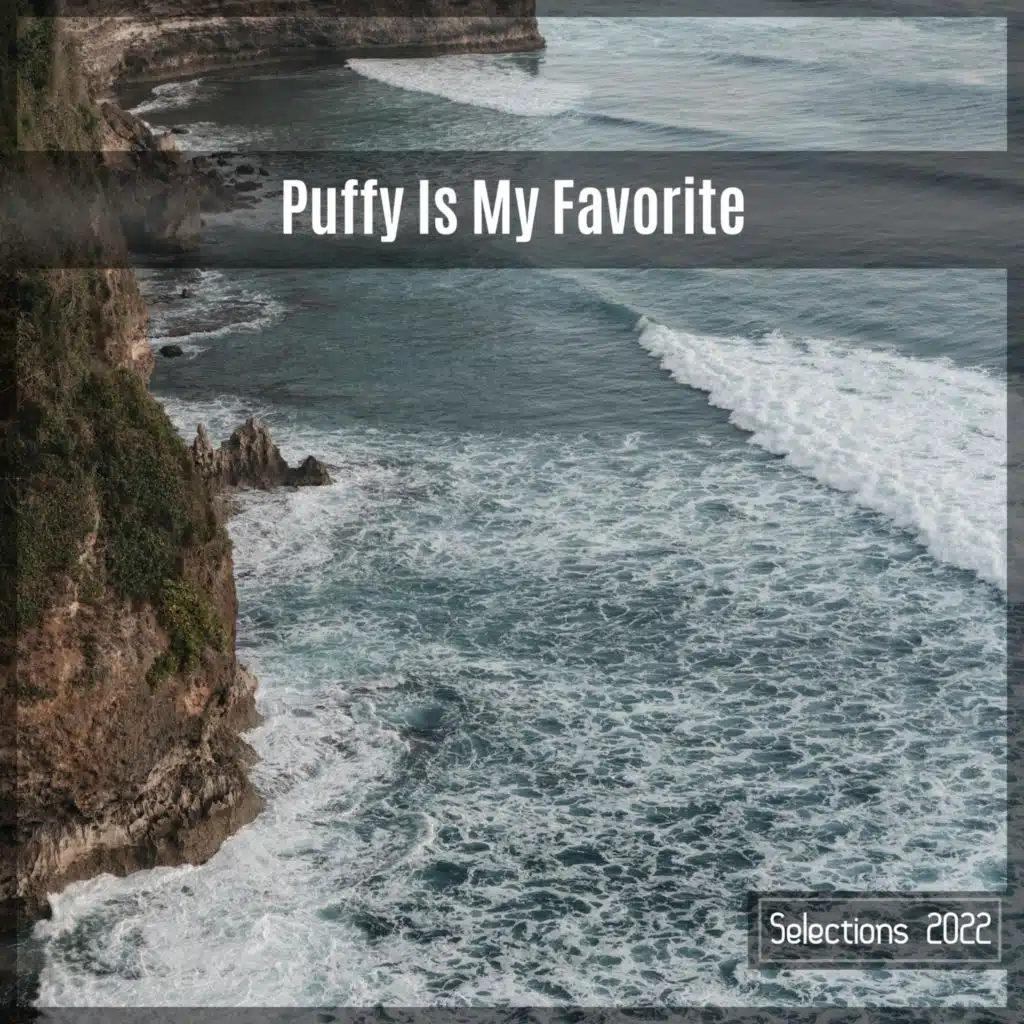 Puffy Is My Favorite Selections 2022