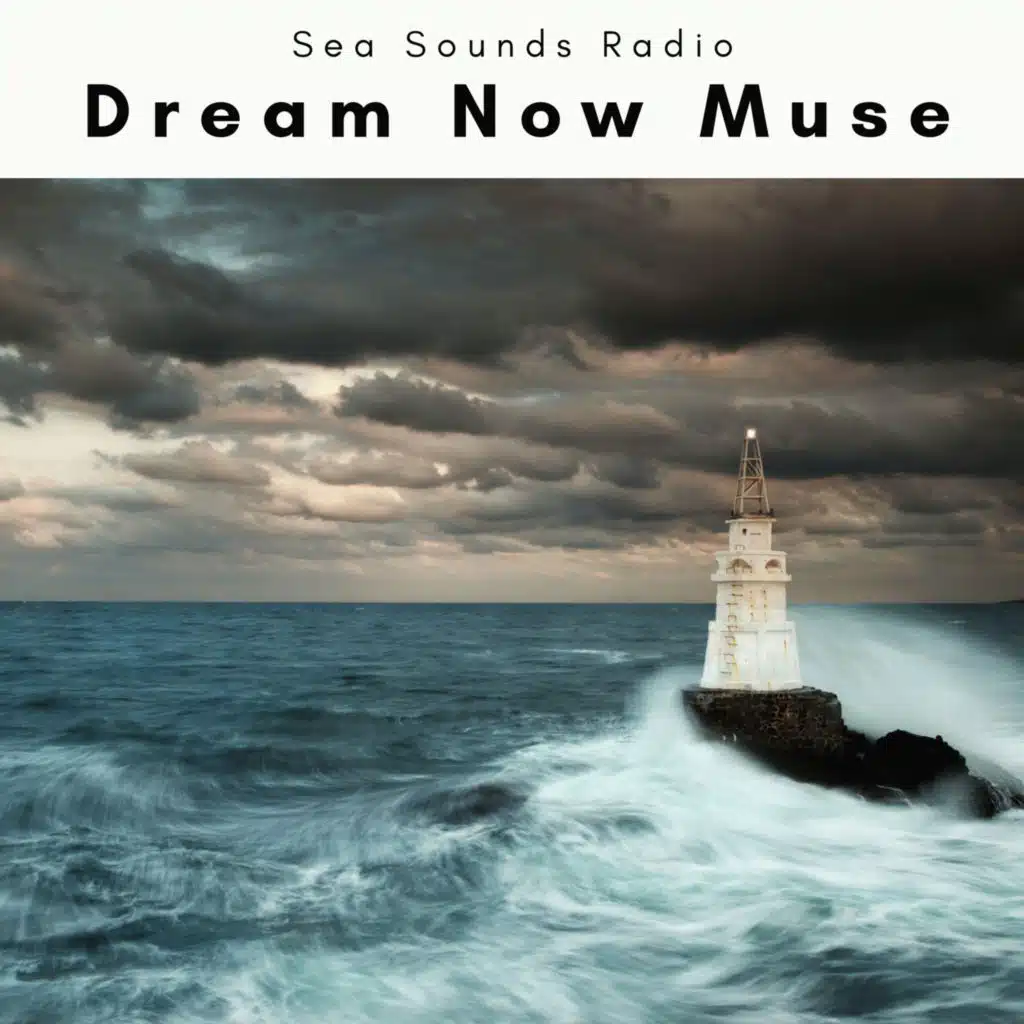 Dream Now Muse