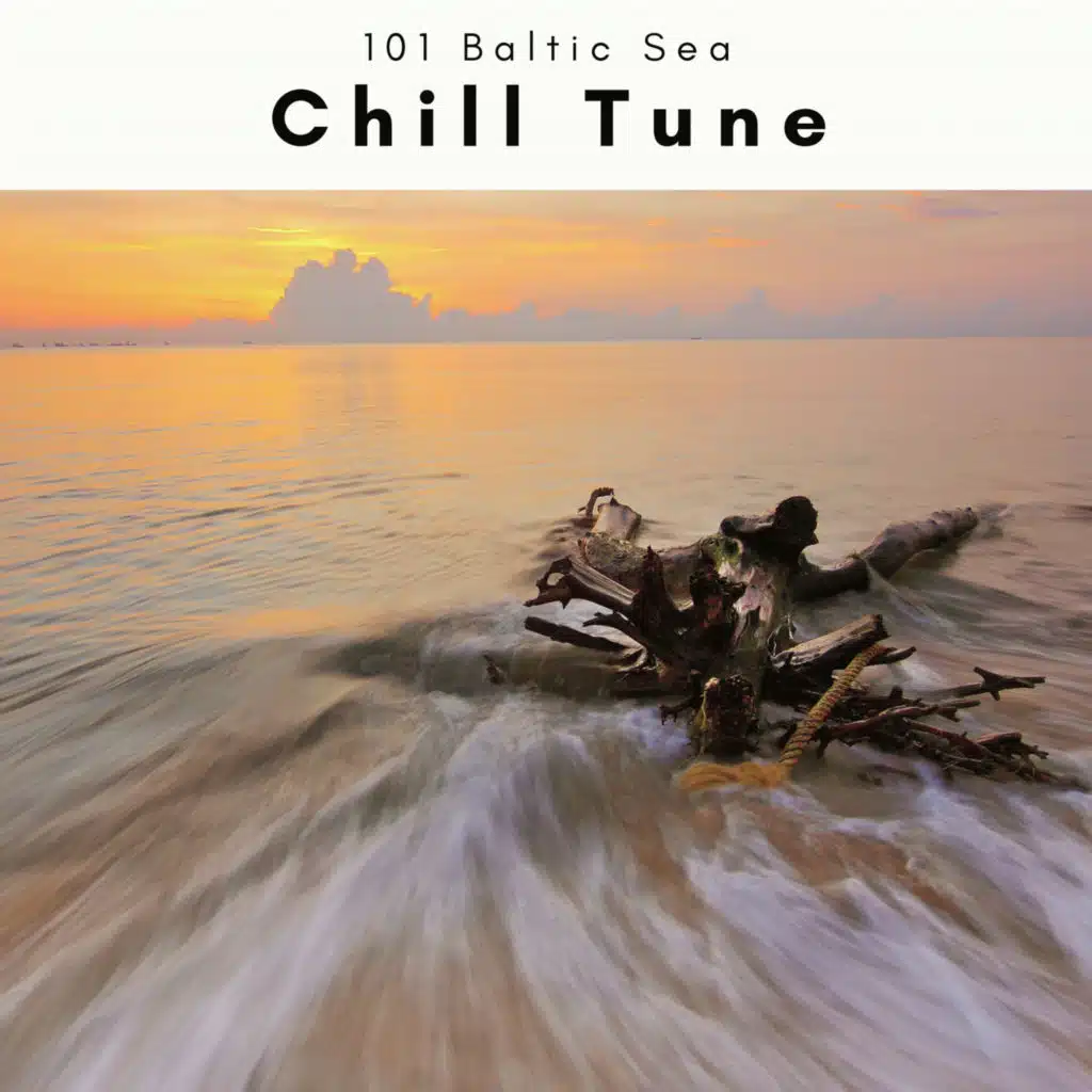 101 Baltic Sea