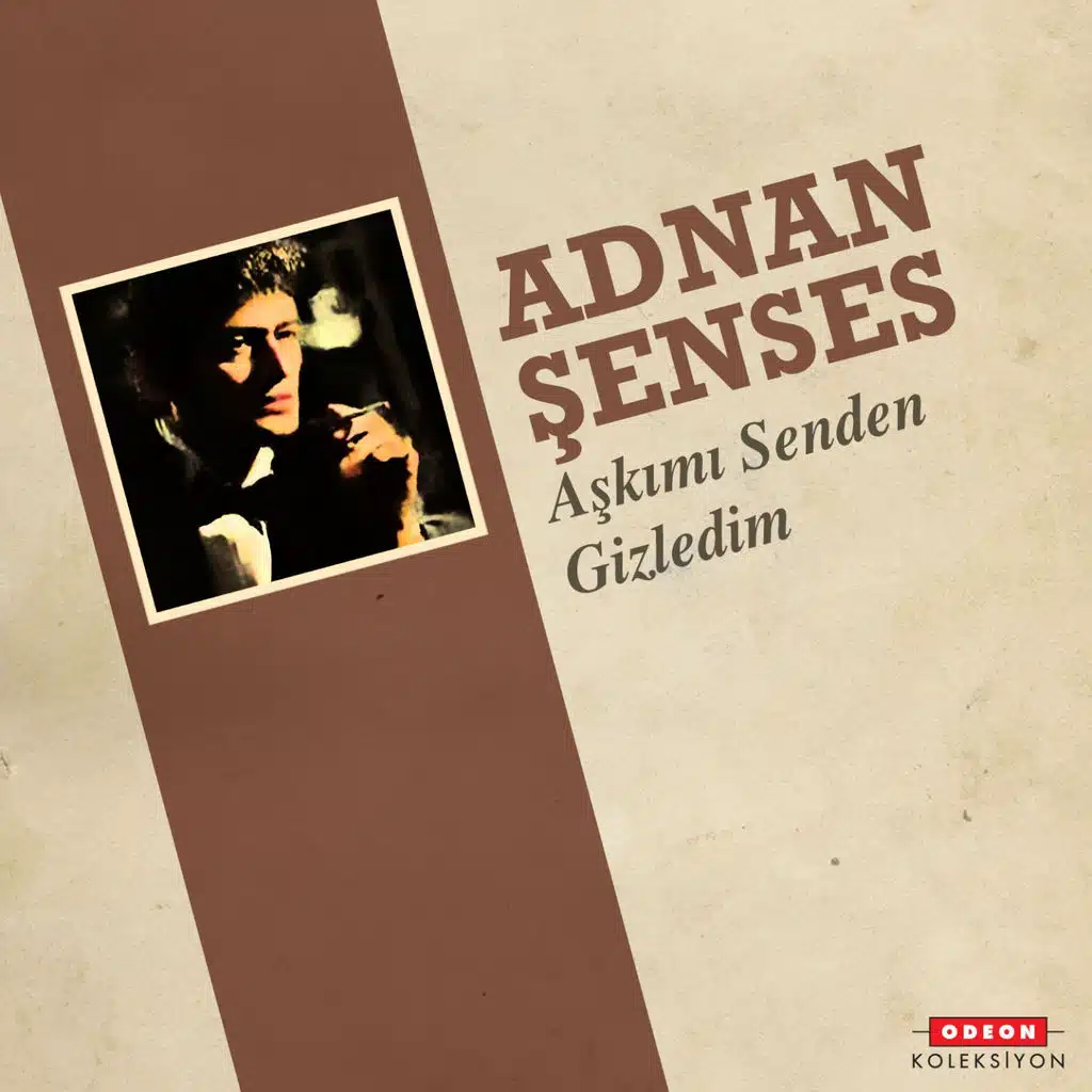 Aşkımı Senden Gizledim