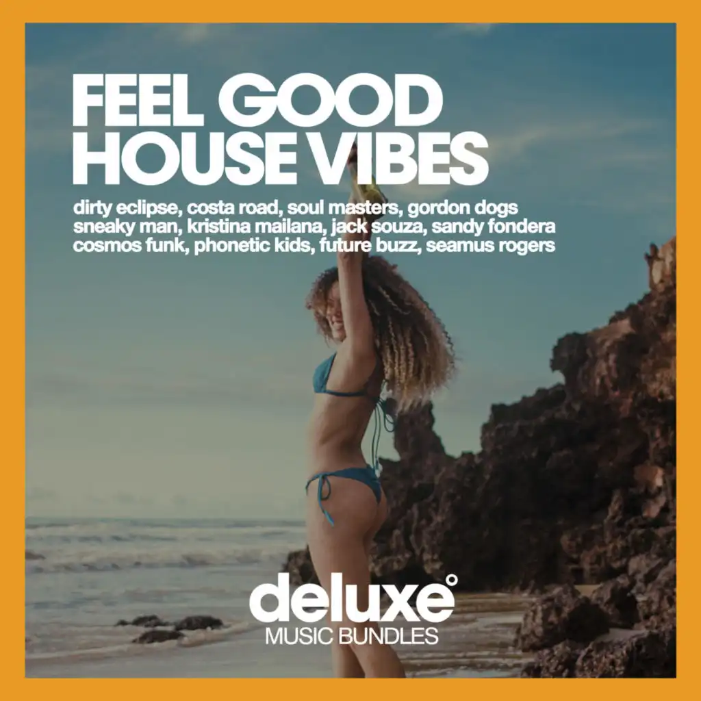 Feel The Vibe (The Acrobatics Bass House Dub Mix)