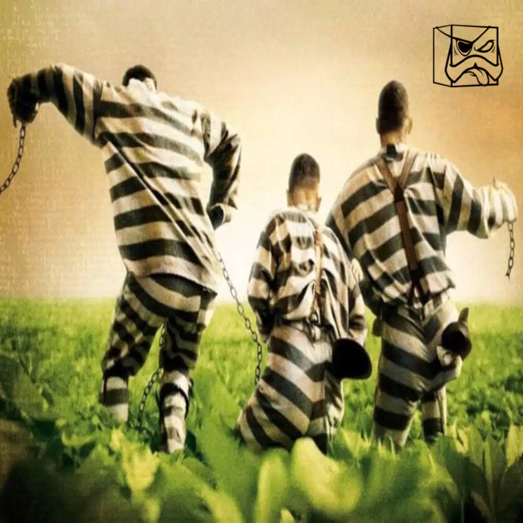 GFC - S06 EP268 ما تسمعه غير مطابق للحقيقة