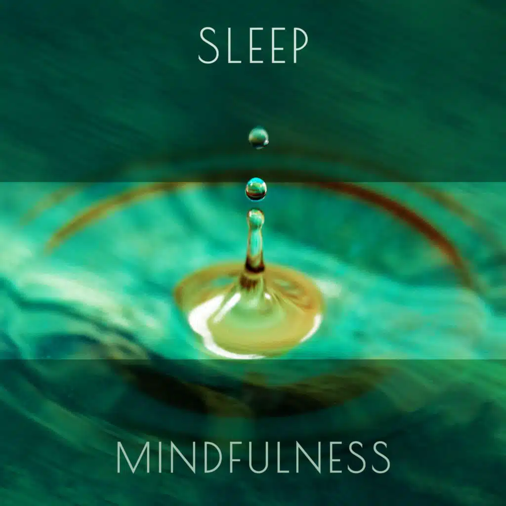 Sleep & Mindfulness Music