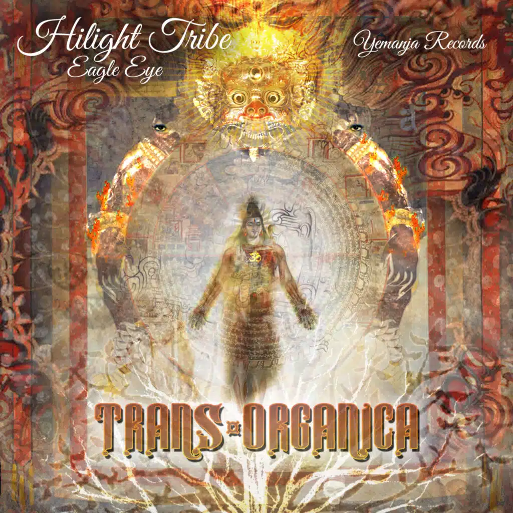 Eagle Eye (Radio Edit- Trans-Organica)