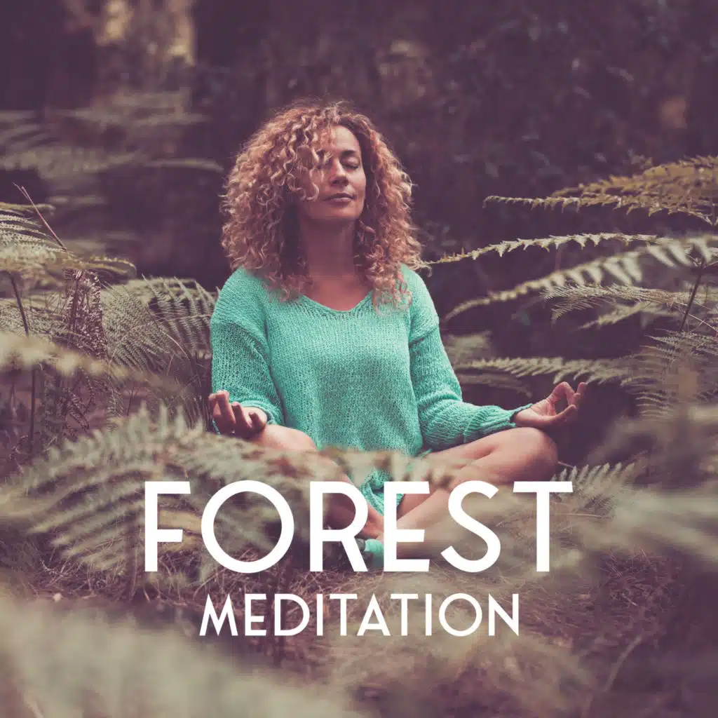 Forest Meditation: Peaceful Nature Sounds for Meditation