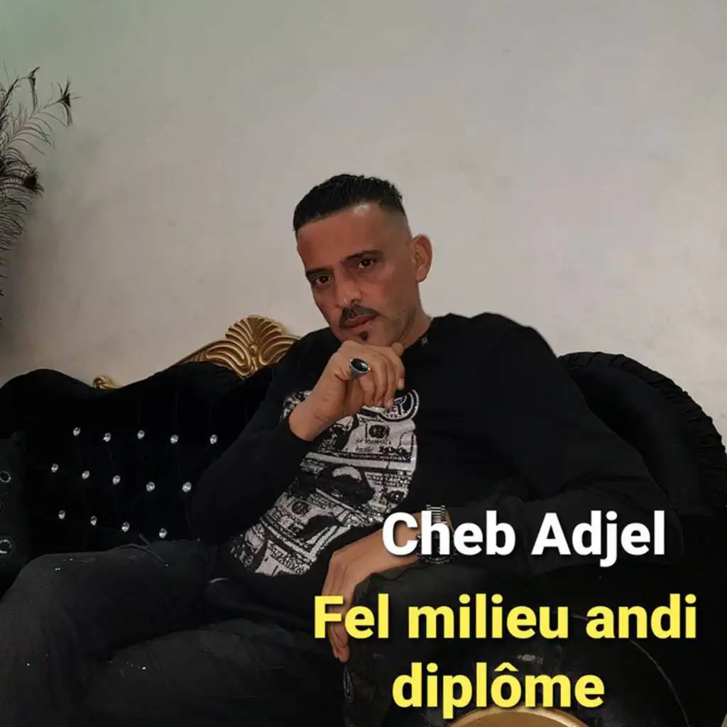 Fel Milieu Andi Diplôme