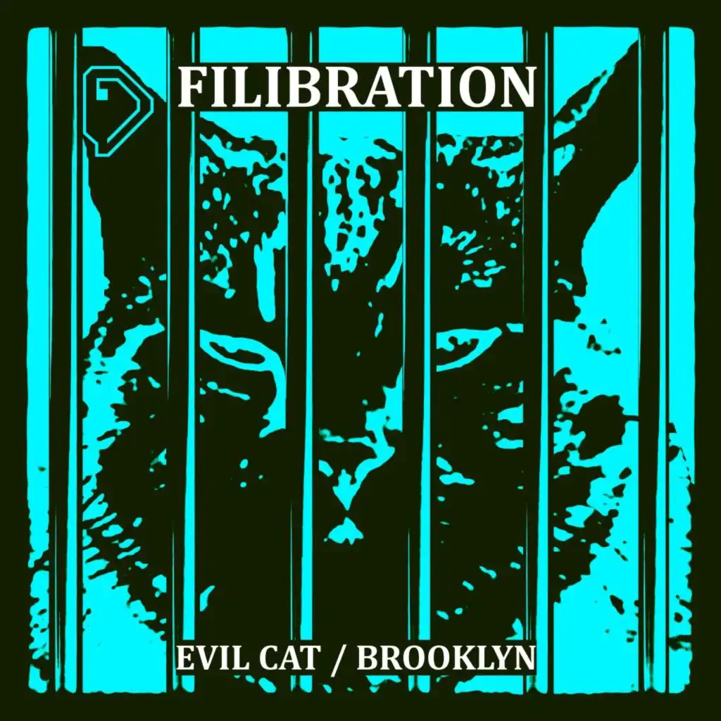 Filibration