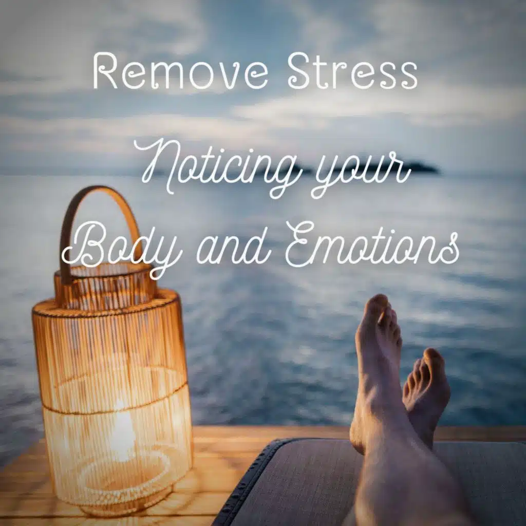 Remove Stress - Noticing your Body & Emotions (Sleep Meditation)