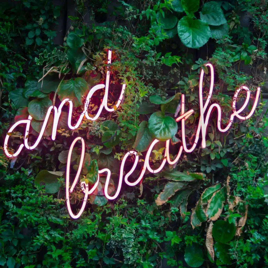 Mindfulness Meditation - A Breathing Anchor for Your Wandering Mind (SLEEP IN 20 MINS)