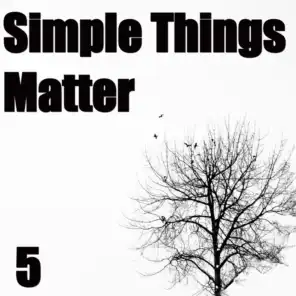 Simple Things Matter, Vol. 5
