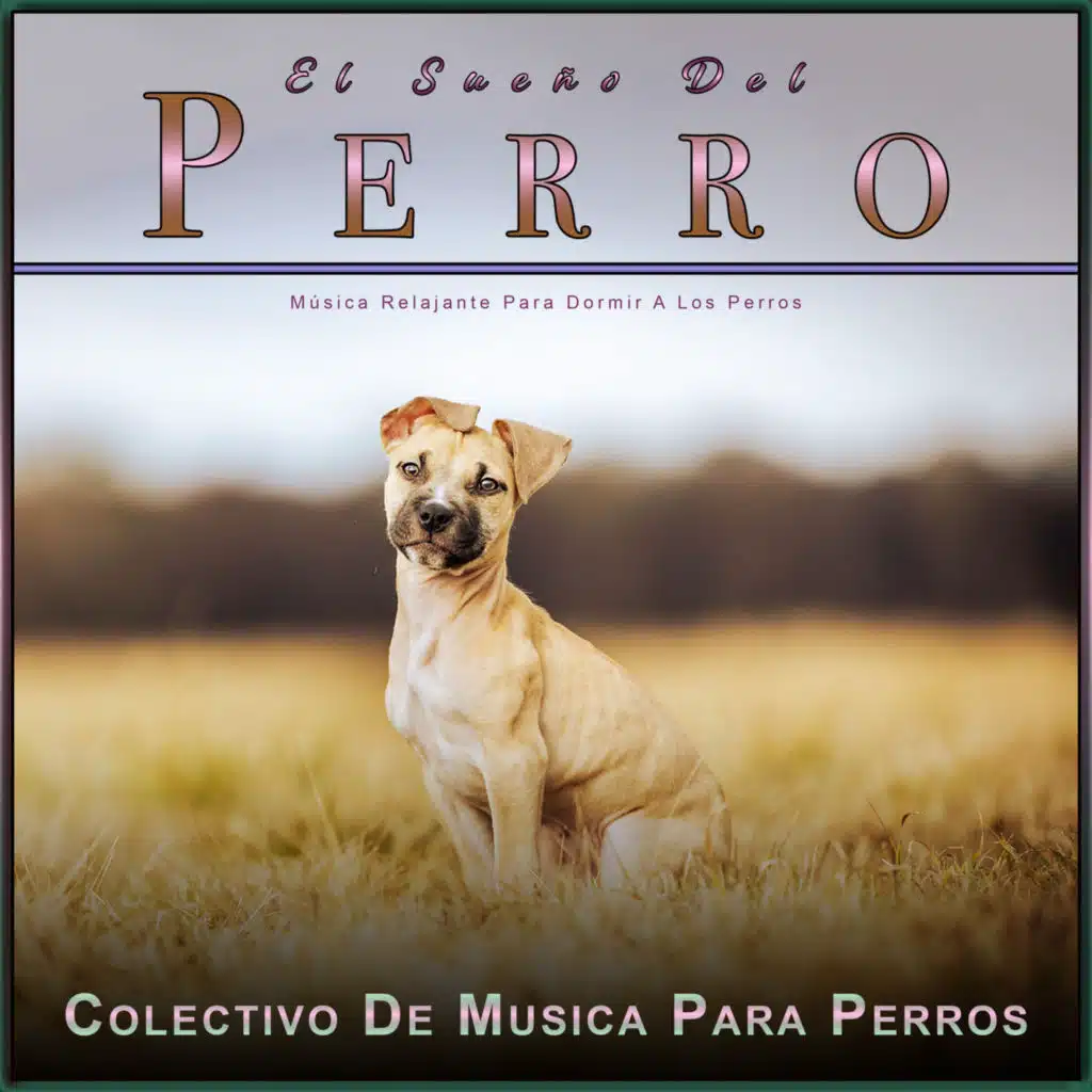 Música de Piano Tranquila para Perros