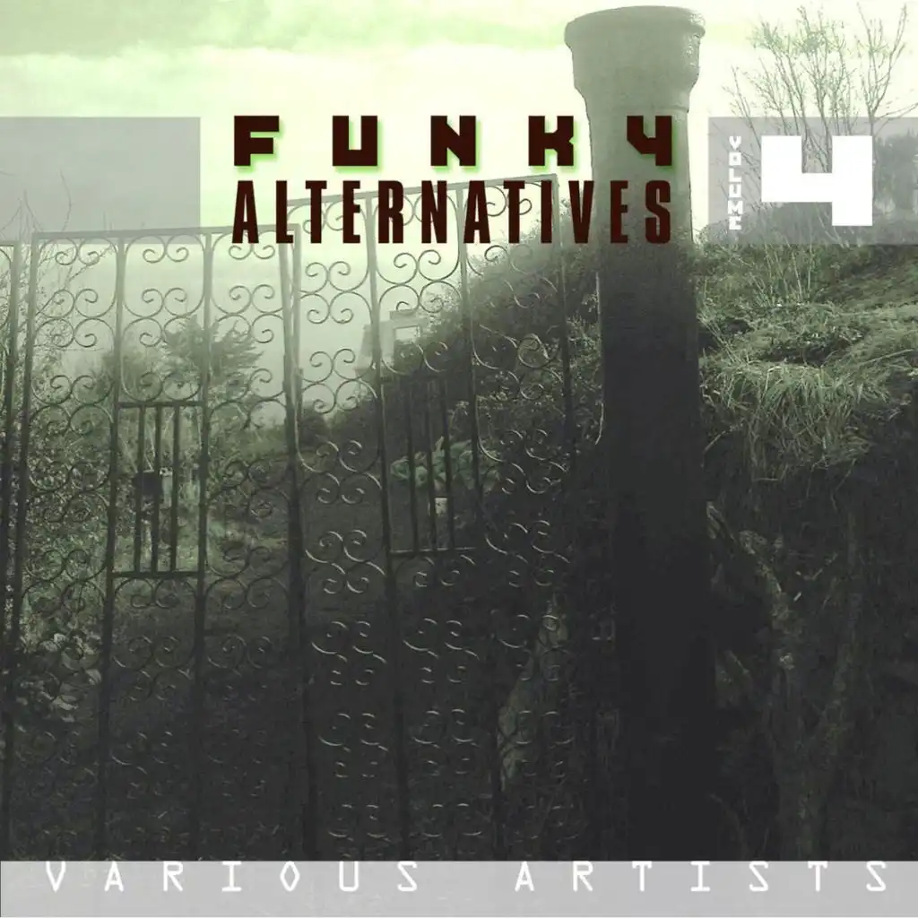 Funky Alternatives Vol.4