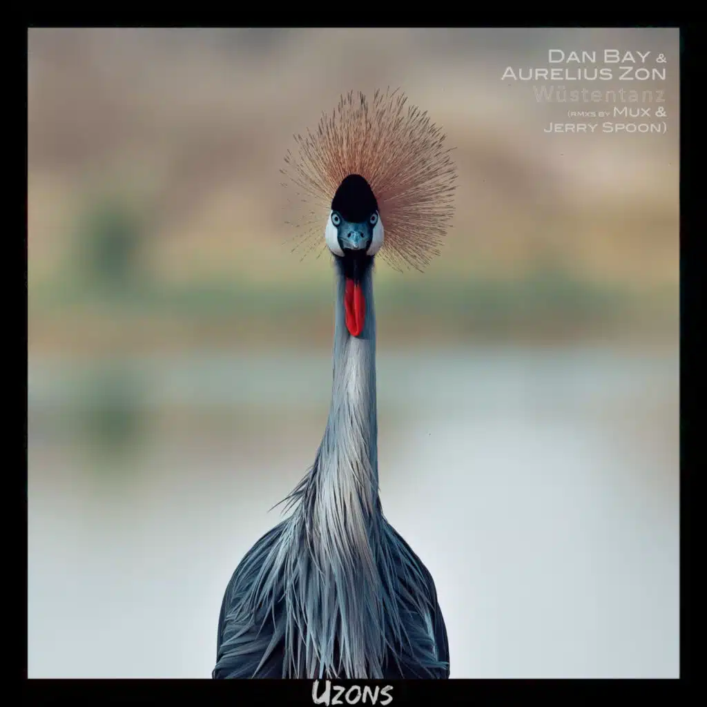 Wüstentanz (feat. Jerry Spoon)