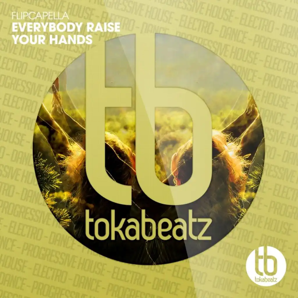 Everybody Raise Your Hands (Instrumental Mix)