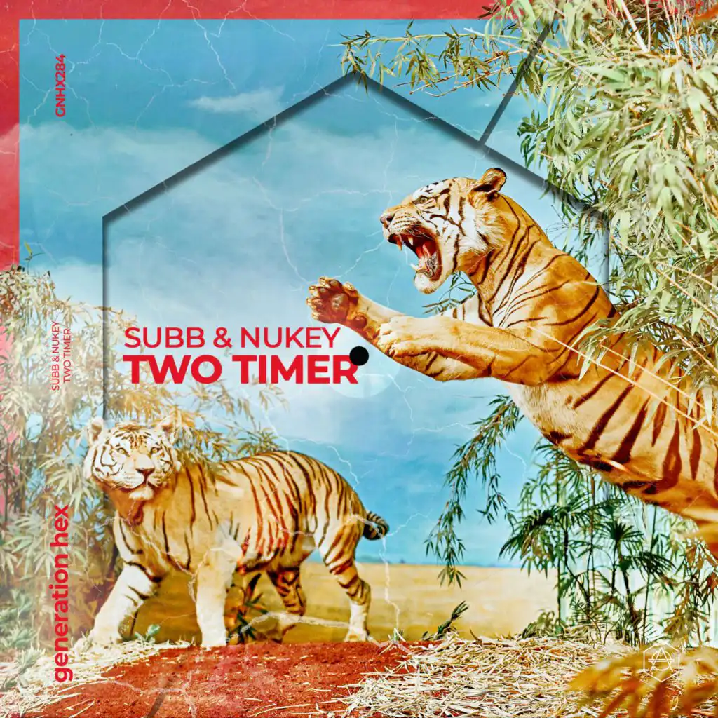 Two Timer (Extended Mix)