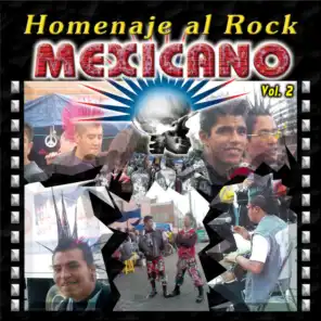 Homenaje al Rock Mexicano, Vol. 2