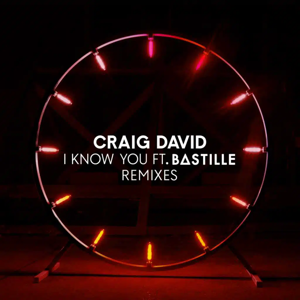 I Know You (Sobr Remix) [feat. Bastille]