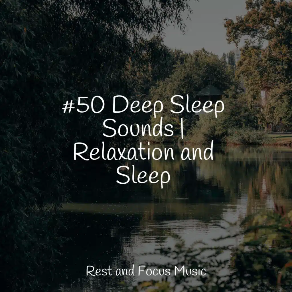 #50 Deep Sleep Sounds | Relaxation and Sleep