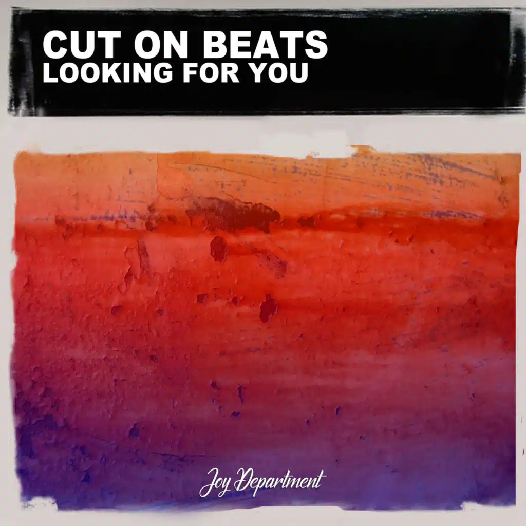 Looking for You (Nu Ground Foundation Mixes)