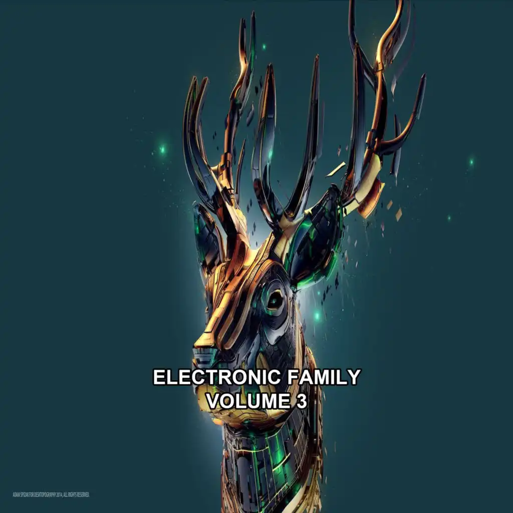 Electronic Family, Vol. 3