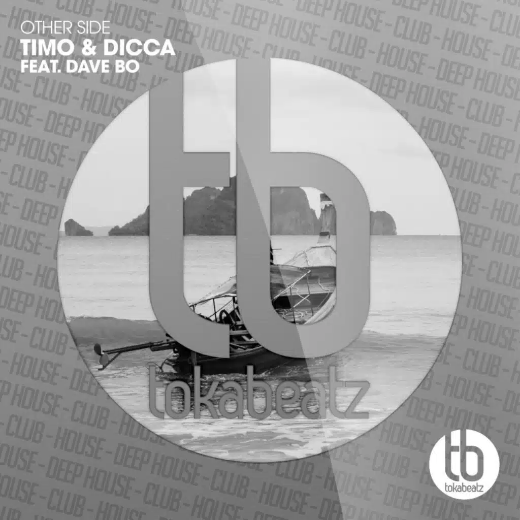 Other Side (Radio Edit) [feat. Dave Bo]