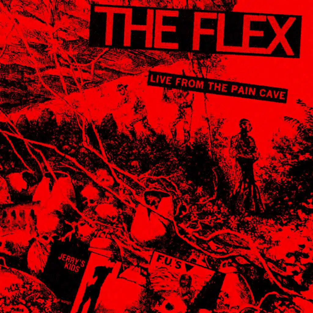 Flexual Healing Vi: Live from the Paincave