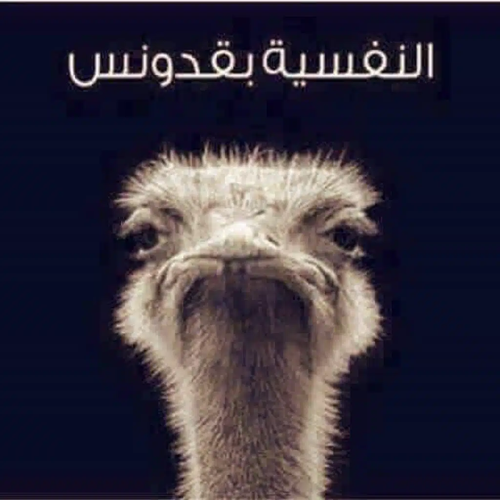 Shortlisted Favorites