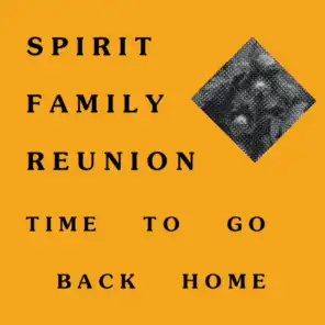 Spirit Family Reunion