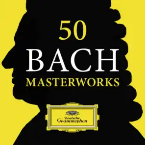 J.S. Bach: Chromatic Fantasia and Fugue in D Minor, BWV 903 - Fantasia