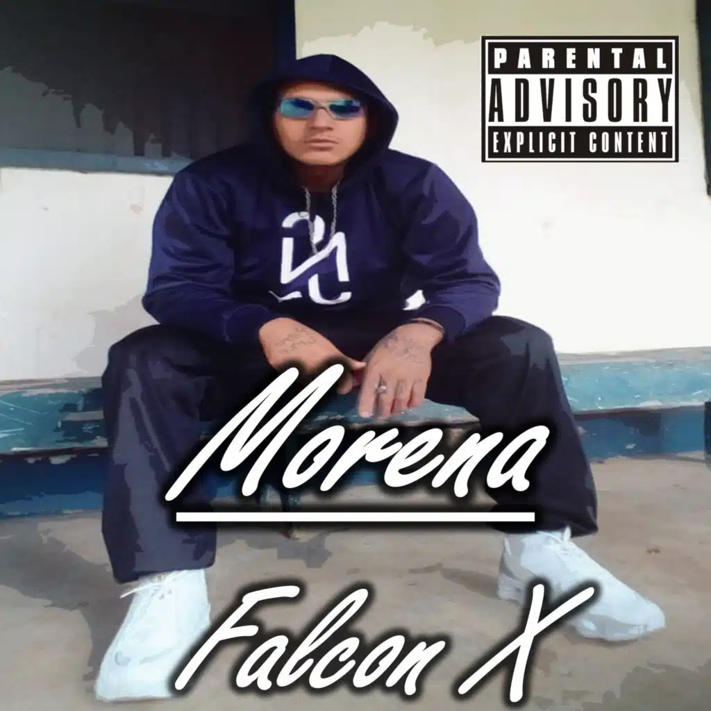 Falcon X