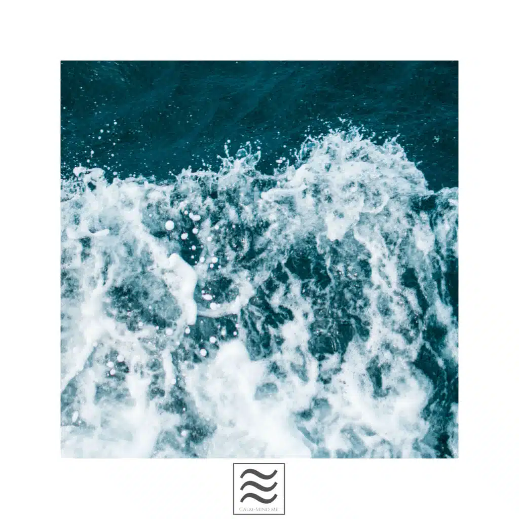 Relax and Rest with Ocean Calming Noises