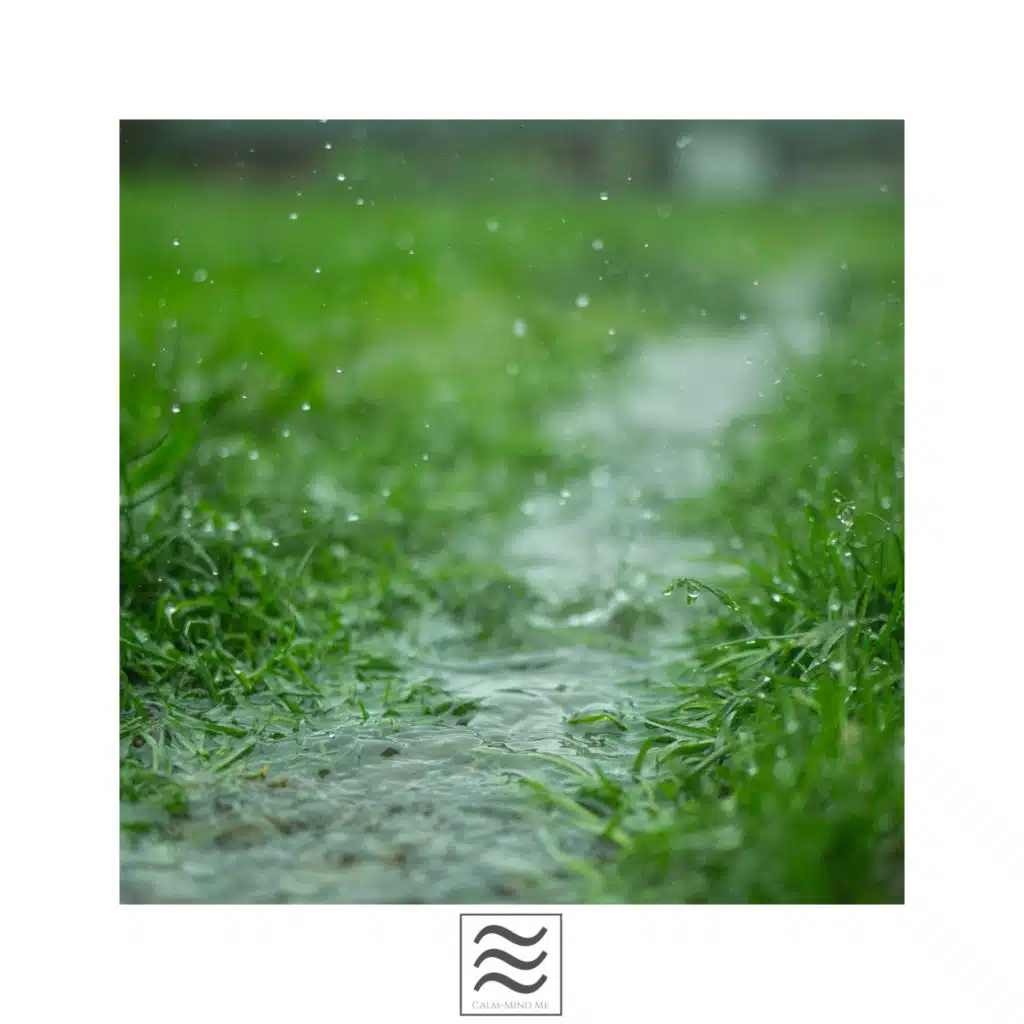Ambientes ruidosos de lluvia