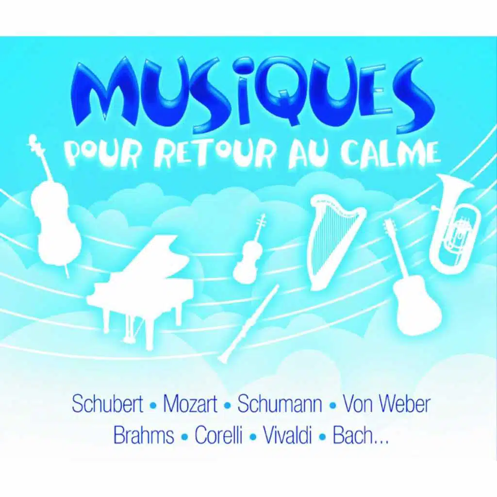 Musiques pour retour au calme (L'intégrale)