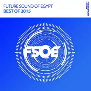 Future Sound Of Egypt - Best Of 2015